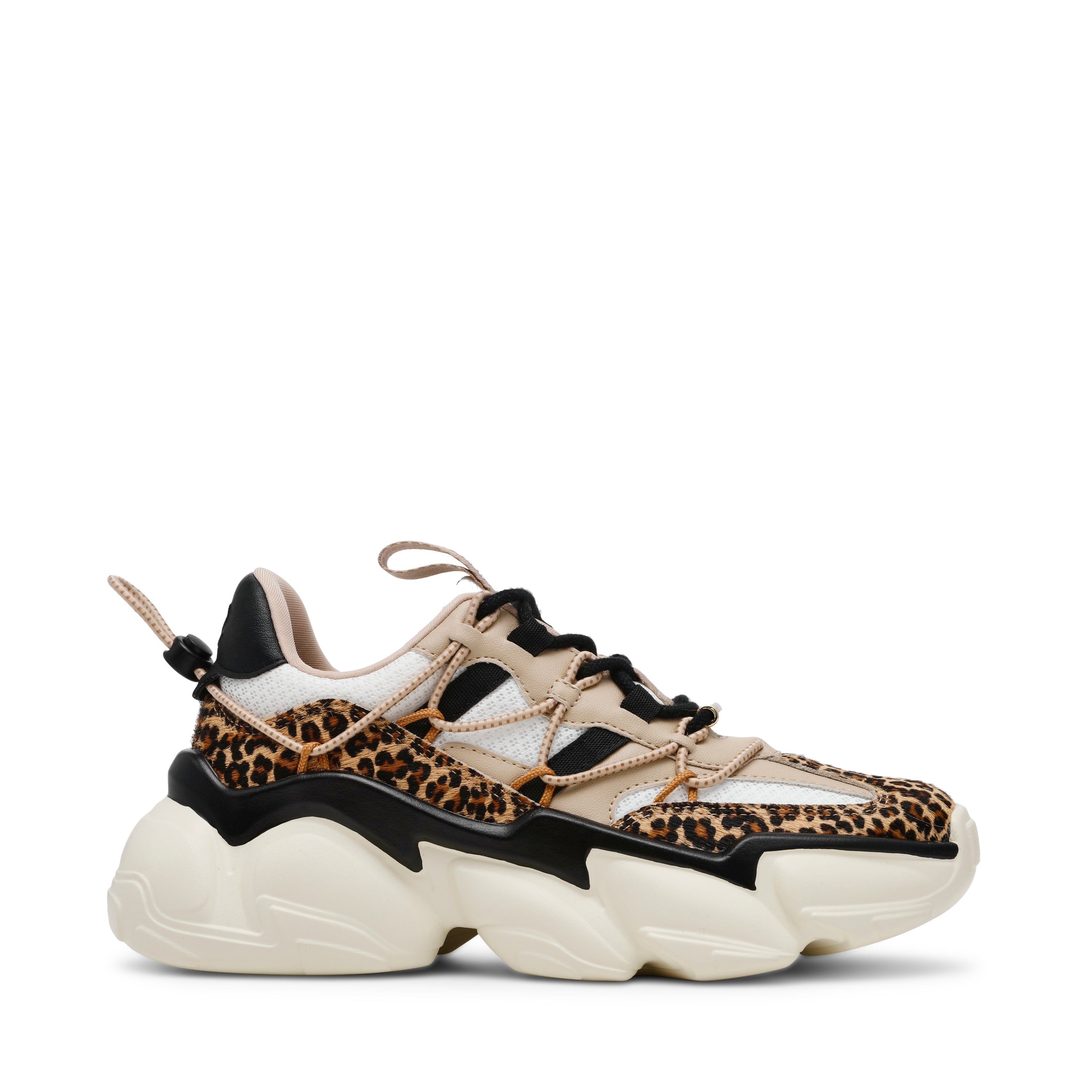 Sneakers Spectator-L LEOPARD MULTI